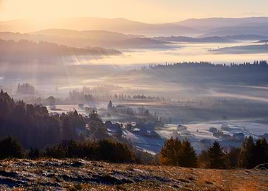 Autumn foggy landscape