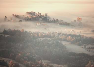 Autumn foggy landscape