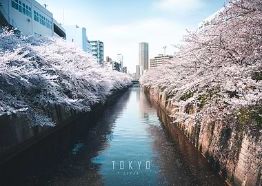 Meguro River Tokyo