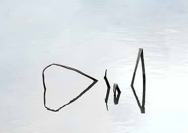 Beautiful remnants of lotu