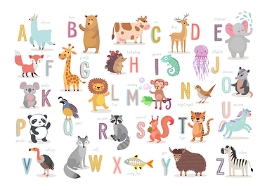 Animal Alphabet Kids Room
