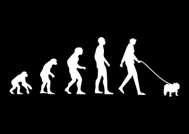 English Bulldog Evolution