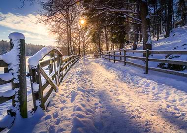 Winter Road