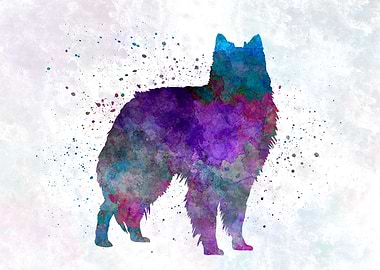 Belgian Shepherd Dog