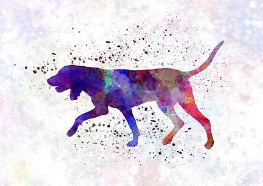 Black and Tan Coonhound