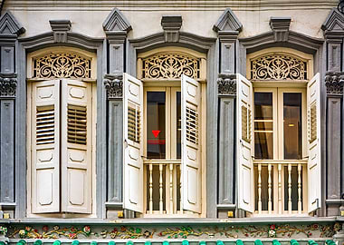 The Singapore Shophouse