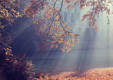 Autumn path among trees
