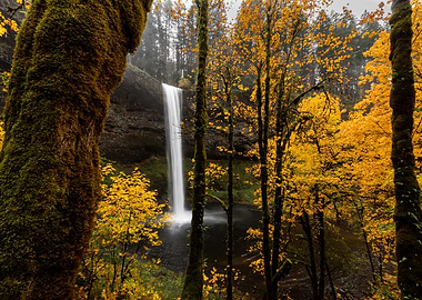 Golden autumn waterfall