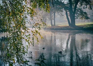 Autumn foggy lake in park