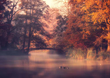 Bridge and autumn park