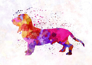 Blue Gascony Basset dog