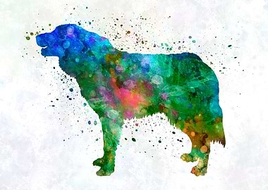 Croatian Shepherd Dog