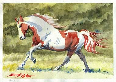 N827 Cheval robe Pie