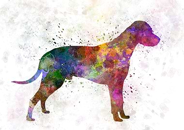 Dalmatian in watercolor