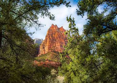 Court of the Patriarchs