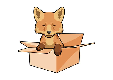 Baby Fox Box