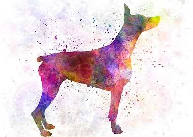 Doberman in watercolor