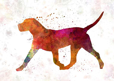 Dogo Canario in watercolor