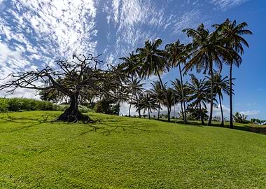 Old Three an Pamlier