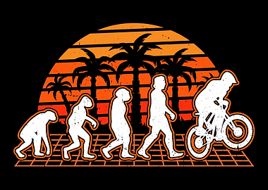 Bike Evolution Sunset Bmx