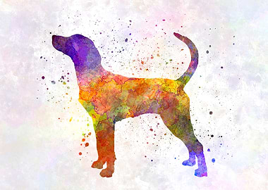 english Foxhound dog