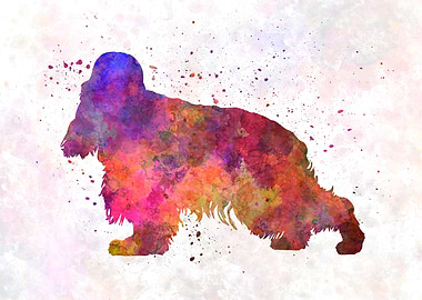 English Cocher Spaniel