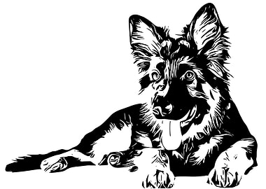 German Shepherd Puppy