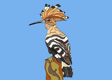 PUPUT Eurasian hoopoe
