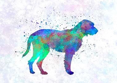 Fawn Brittany Griffon