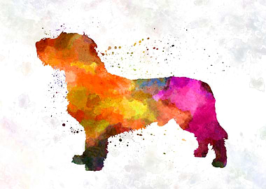 Fawn Brittany Basset dog