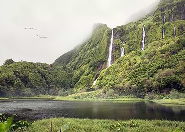 Azorean Waterfall