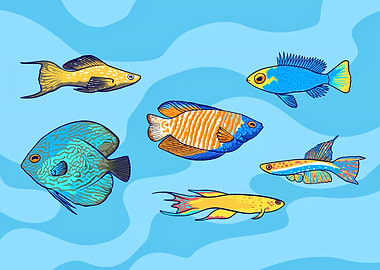 Aquarium fish tank lovers