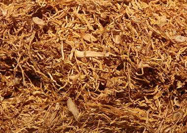 Albanian rolling tobacco