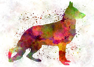 German Sherpherd dog