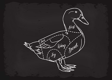 Butcher Cuts of Duck