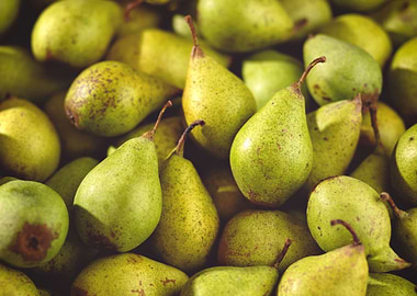 Juicy Pears