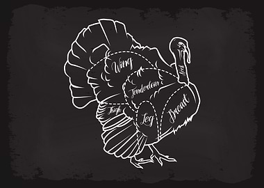 Butcher Cuts of Turkey