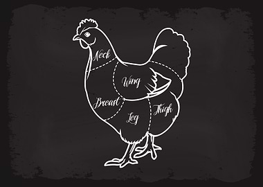 Butcher Cuts of Chicken