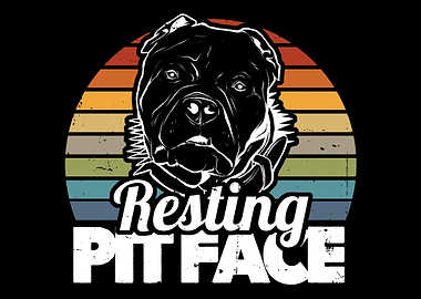 Pitbull Pit Bull Terrier