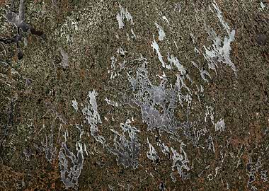 Finland thawing lakes 2