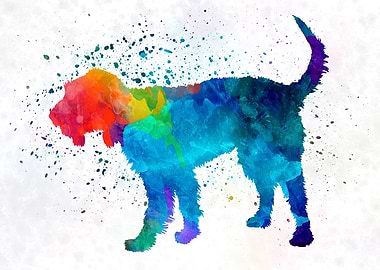 Griffon Nivernais dog