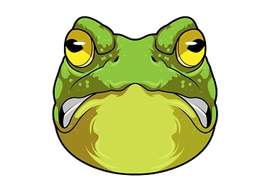 Frog Eyes