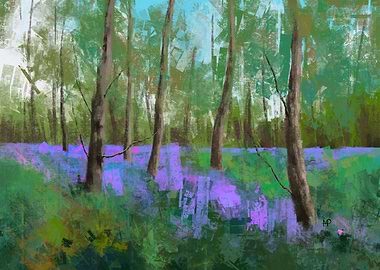 Bluebells
