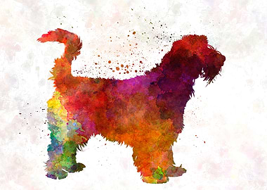 Grand Griffon Venden