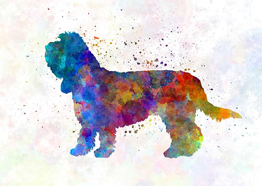 Grand Basset Griffon