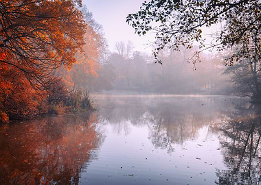 Autumn landscape in park
