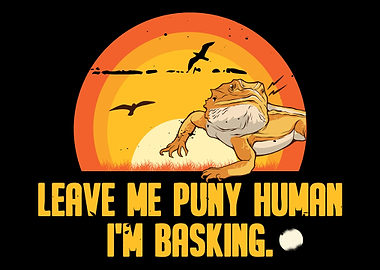 Bearded Dragon Reptile