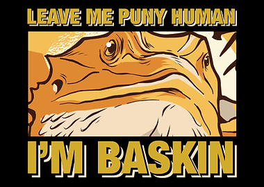 Bearded Dragon Reptile