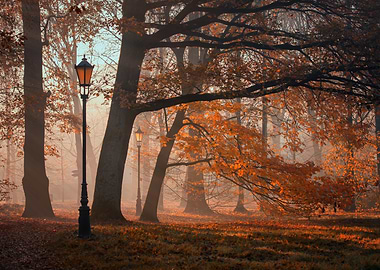 Autumn landscape in park