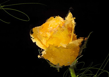 Bright Yellow on Black